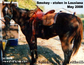STOLEN EQUINE Smokey, Near Keithville, LA, 71047